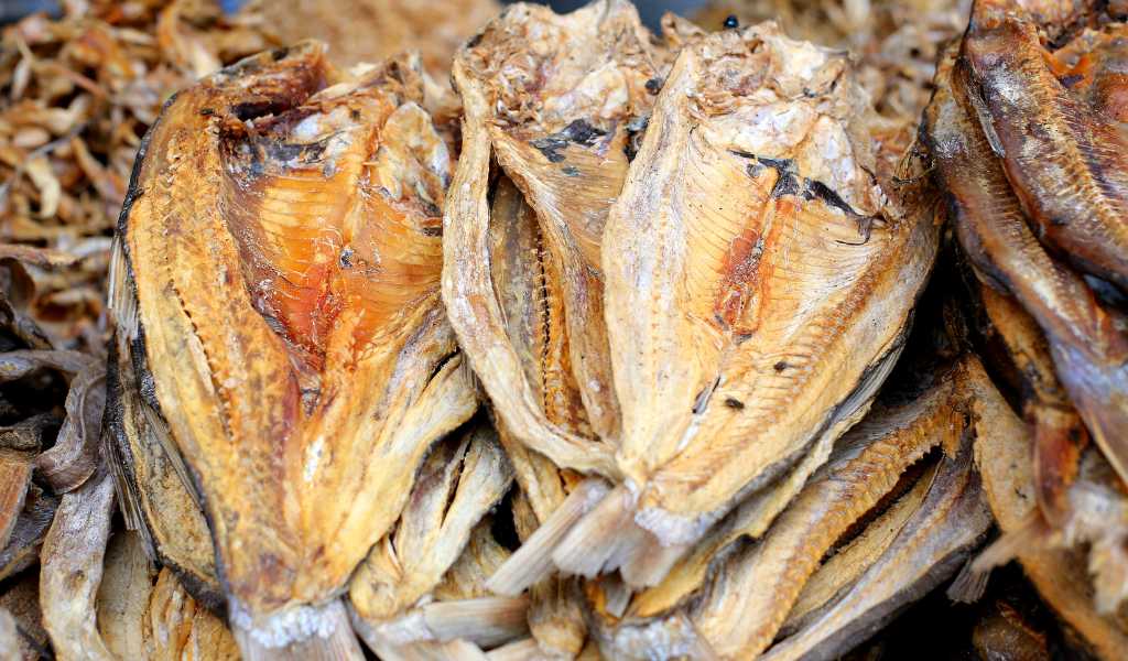 🐟 Aquatic  Food