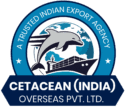 cetaceanindia.com